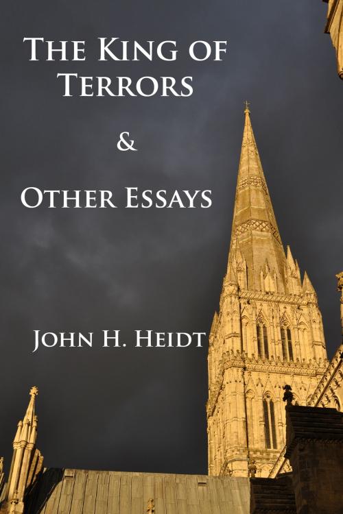 Cover of the book The King of Terrors and Other Essays by John Heidt, John Heidt