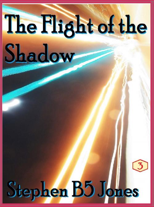Cover of the book The Flight of the Shadow by Stephen B5 Jones, Stephen B5 Jones
