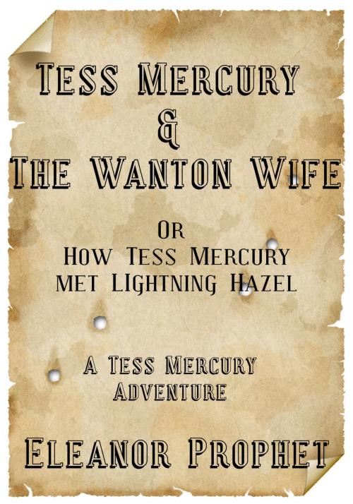 Cover of the book Tess Mercury and the Wanton Wife by Eleanor Prophet, DC Press