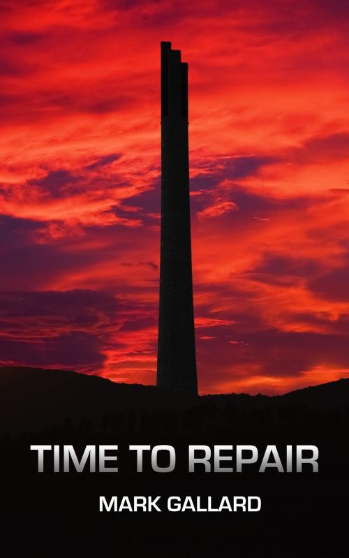 Cover of the book Time To Repair by Mark Gallard, Mark Gallard