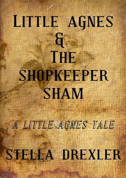 Cover of the book Little Agnes and the Shopkeeper Sham by Stella Drexler, DC Press