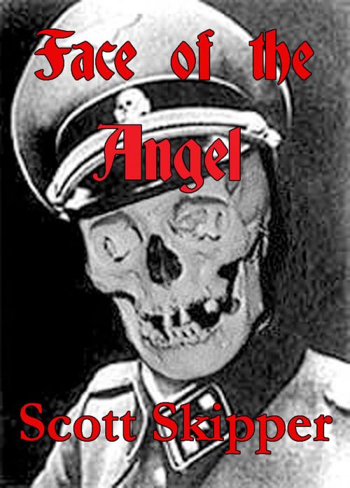 Cover of the book Face of the Angel by Scott Skipper, Scott Skipper
