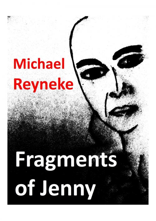 Cover of the book Fragments of Jenny by Michael Reyneke, Michael Reyneke
