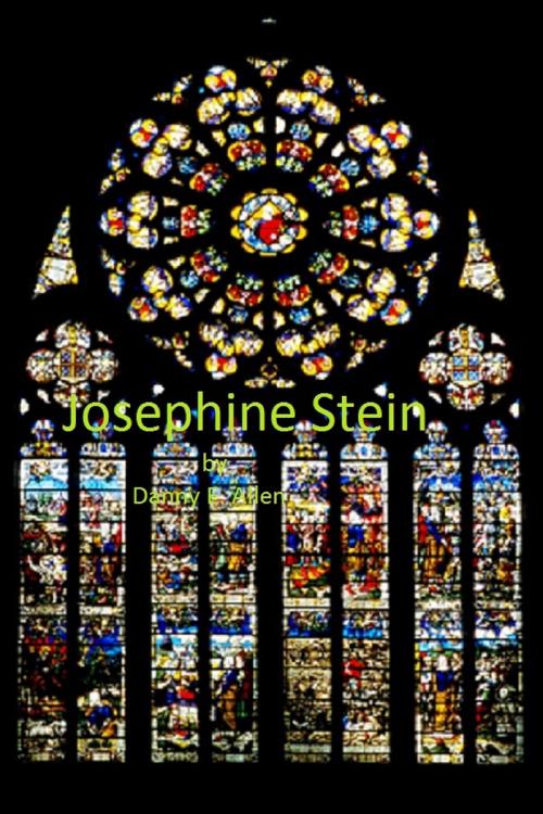 Cover of the book Josephine Stein by Danny E. Allen, Danny E. Allen