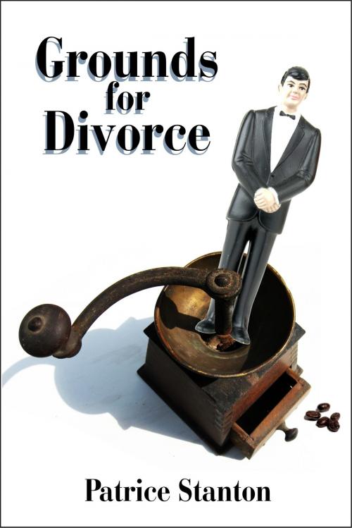 Cover of the book Grounds for Divorce by Patrice Stanton, Patrice Stanton