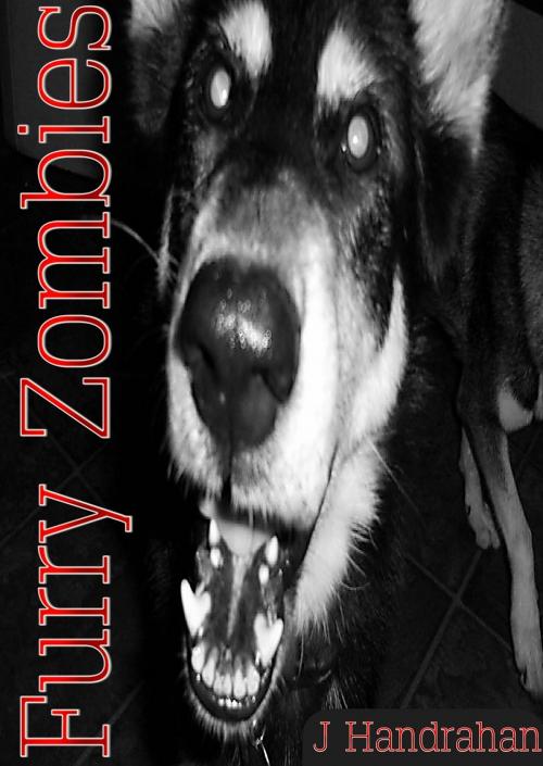 Cover of the book Furry Zombies by John Handrahan, John Handrahan
