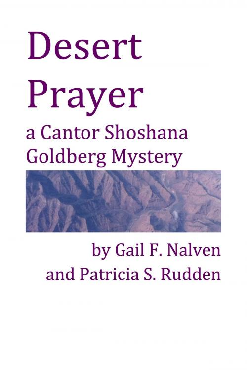 Cover of the book Desert Prayer by Gail F. Nalven, Gail F. Nalven