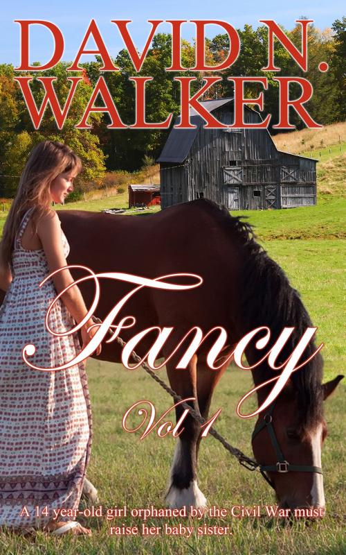 Cover of the book Fancy Vol 1 by David N. Walker, David N. Walker