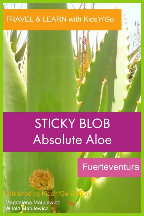 Cover of the book Sticky Blob: Absolute Aloe, Fuerteventura by Magdalena Matulewicz, Kids'n'Go Editions