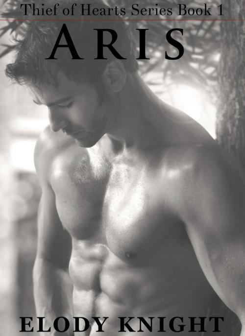 Cover of the book Aris (Thief of Hearts Series Book 1) by Elody Knight, Elody Knight