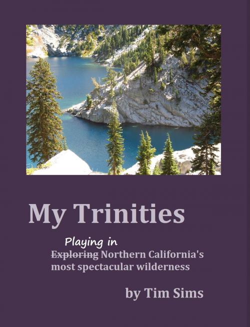 Cover of the book My Trinities by Tim Sims, Tim Sims