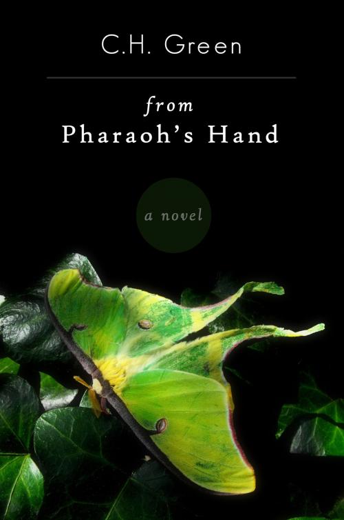 Cover of the book From Pharaoh's Hand by C. H. Green, C. H. Green