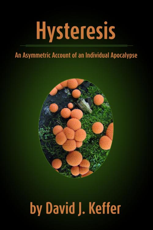 Cover of the book Hysteresis: An Asymmetric Account of an Individual Apocalypse by David Keffer, David Keffer