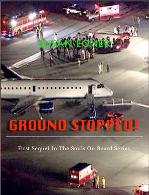 Cover of the book Ground Stopped! by Susan Egner, Susan Egner