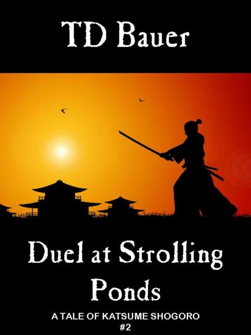 Cover of the book Duel at Strolling Ponds by TD Bauer, TD Bauer
