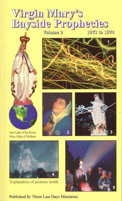 Cover of the book Virgin Mary’s Bayside Prophecies: Volume 2 of 6 - 1973 to 1974 by These Last Days Ministries, These Last Days Ministries