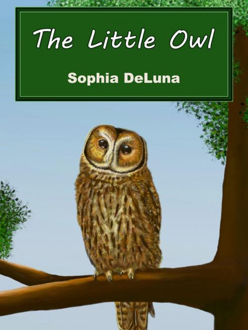 Cover of the book The Little Owl by Sophia DeLuna, Sophia DeLuna