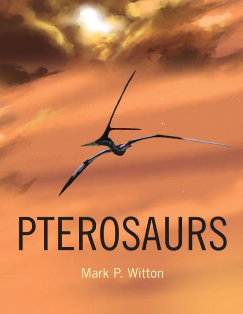Cover of the book Pterosaurs by Mark P. Witton, Princeton University Press
