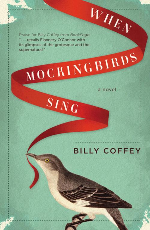 Cover of the book When Mockingbirds Sing by Billy Coffey, Thomas Nelson