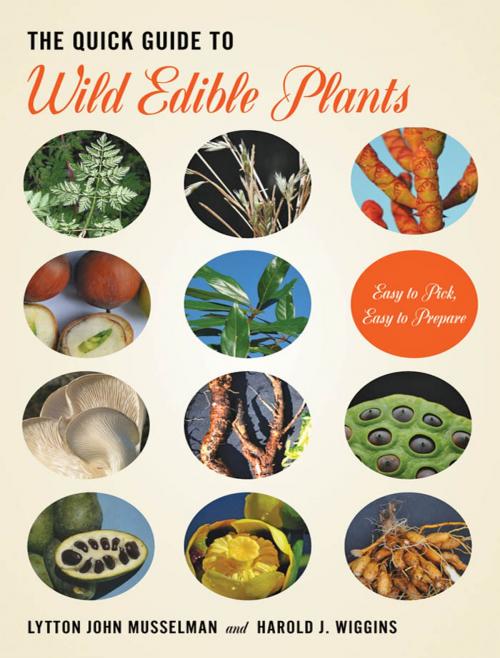 Cover of the book The Quick Guide to Wild Edible Plants by Lytton John Musselman, Harold J. Wiggins, Johns Hopkins University Press
