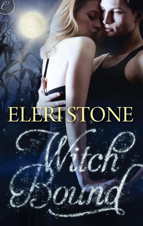 Cover of the book Witch Bound by Eleri Stone, Carina Press