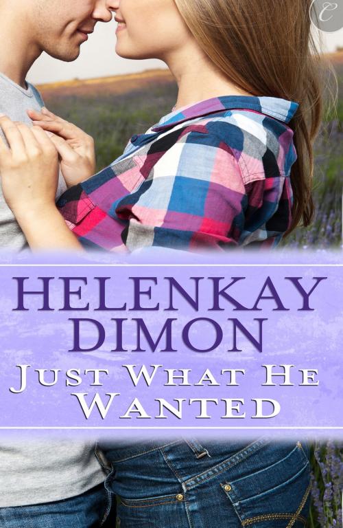 Cover of the book Just What He Wanted by HelenKay Dimon, Carina Press