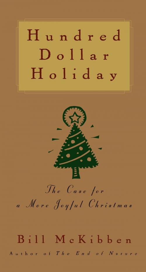 Cover of the book Hundred Dollar Holiday by Bill McKibben, Simon & Schuster