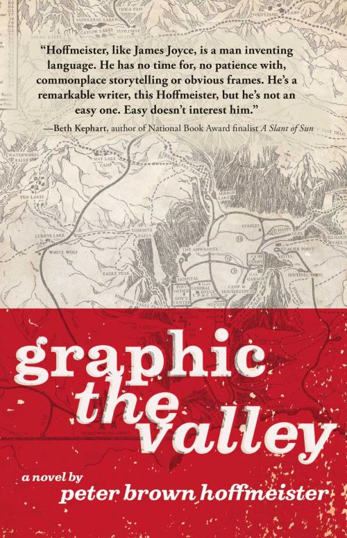 Cover of the book Graphic the Valley by Peter Brown Hoffmeister, Gallery Books