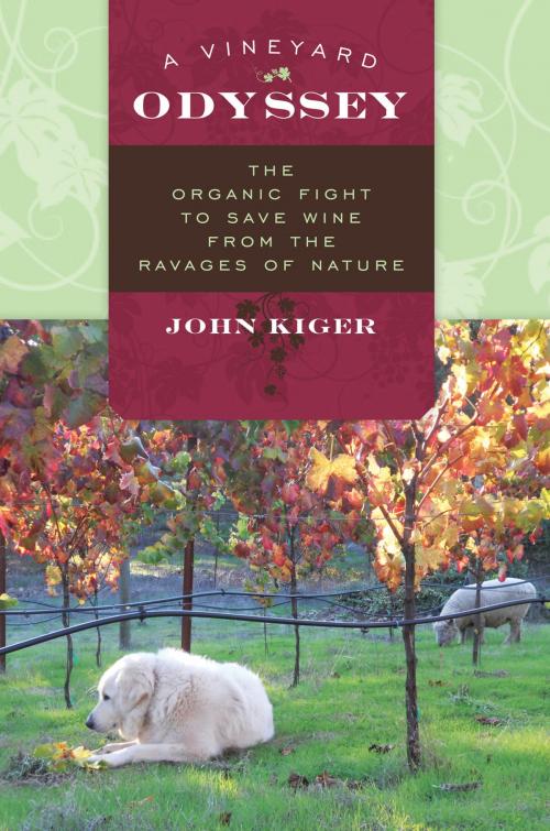 Cover of the book A Vineyard Odyssey by John Kiger, Rowman & Littlefield Publishers