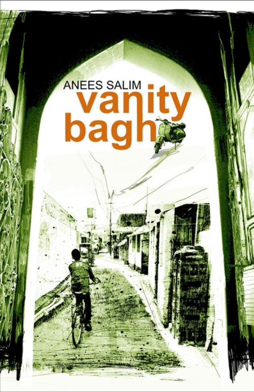 Cover of the book Vanity Bagh by Anees Salim, Pan Macmillan