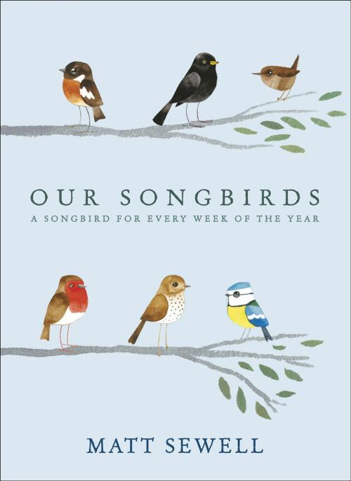 Cover of the book Our Songbirds by Matt Sewell, Ebury Publishing