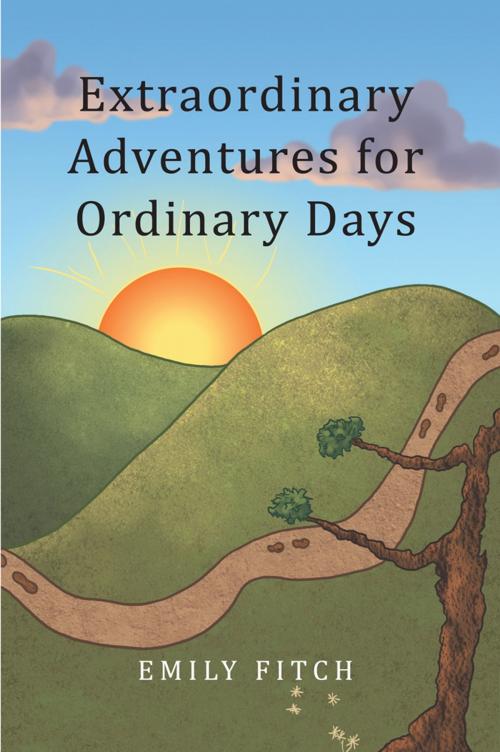 Cover of the book Extraordinary Adventures for Ordinary Days by Emily Fitch, WestBow Press