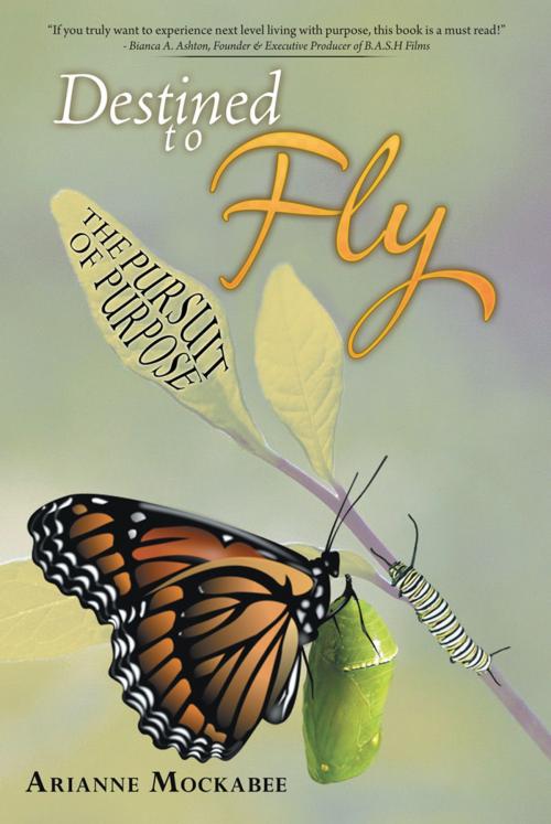 Cover of the book Destined to Fly by Arianne Mockabee, WestBow Press
