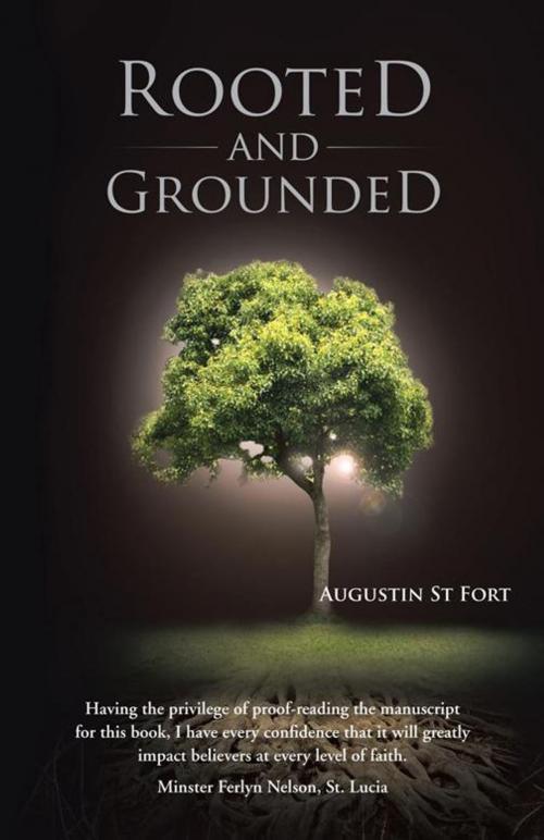 Cover of the book Rooted and Grounded by Augustin St Fort, WestBow Press