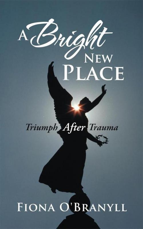 Cover of the book A Bright New Place by Fiona O'Branyll, WestBow Press