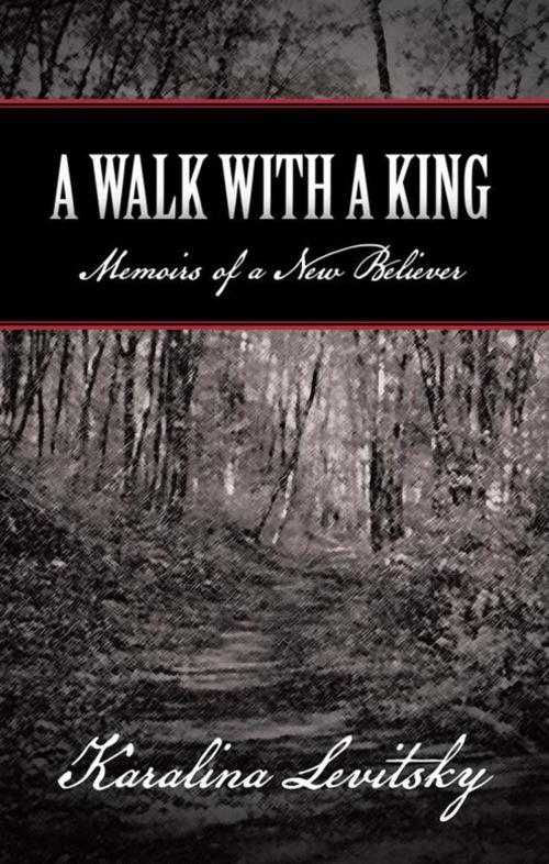 Cover of the book A Walk with a King by Karalina Levitsky, WestBow Press