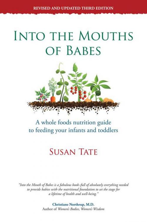 Cover of the book Into the Mouths of Babes by Susan Tate, Balboa Press