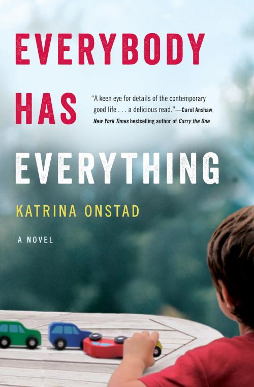 Cover of the book Everybody Has Everything by Katrina Onstad, Grand Central Publishing