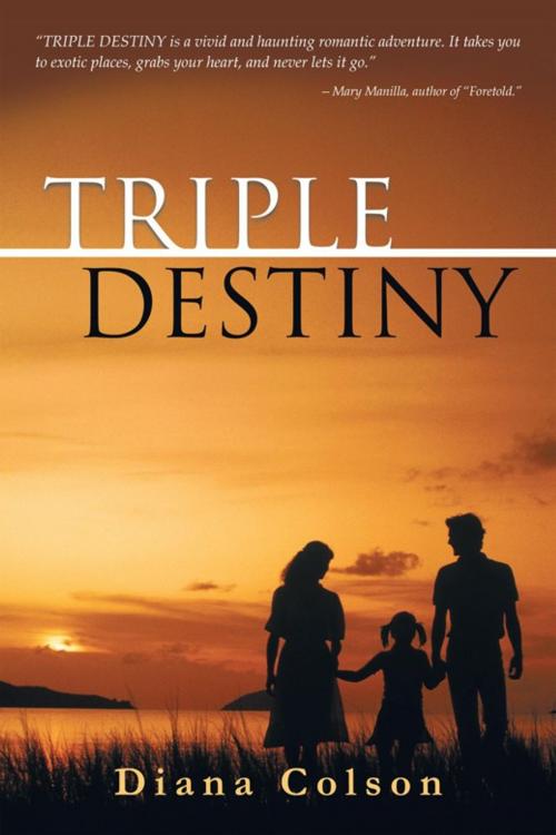Cover of the book Triple Destiny by Diana Colson, Abbott Press