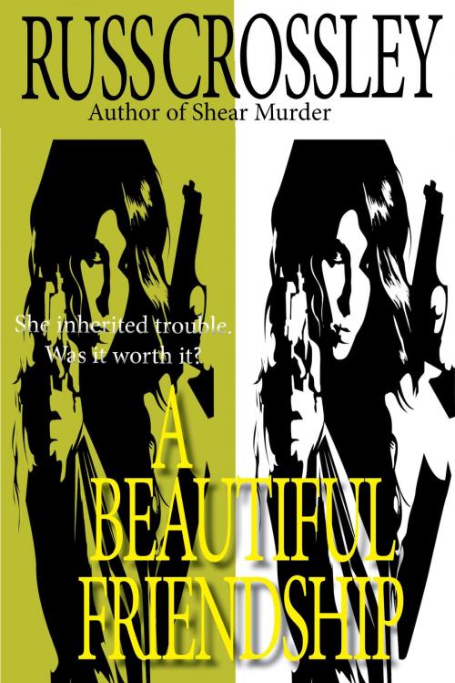 Cover of the book A Beautiful Friendship by Russ Crossley, 53rd Street Publishing