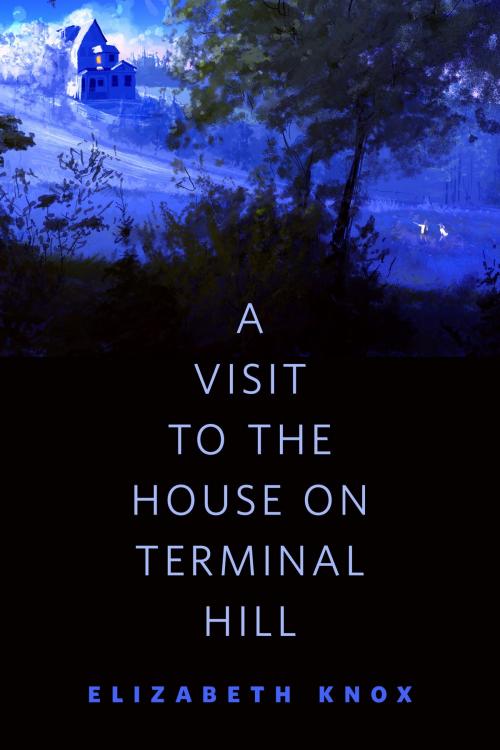 Cover of the book A Visit to the House on Terminal Hill by Elizabeth Knox, Tom Doherty Associates