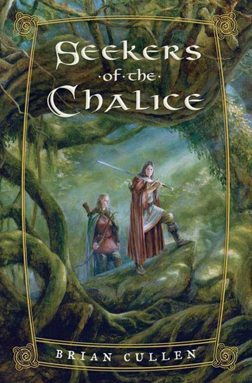 Cover of the book Seekers of the Chalice by Brian Cullen, Tom Doherty Associates