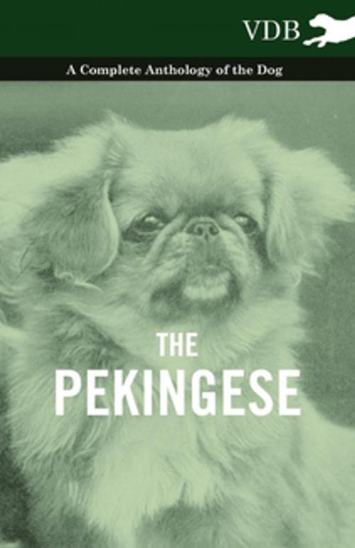 Cover of the book The Pekingese - A Complete Anthology of the Dog by Various, Read Books Ltd.