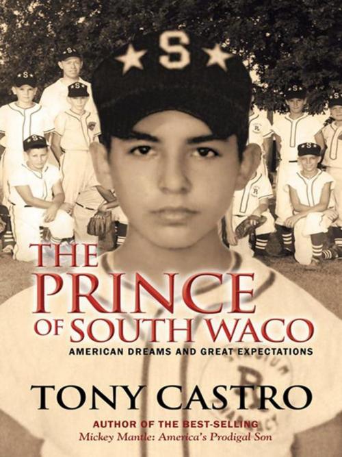 Cover of the book The Prince of South Waco by Tony Castro, iUniverse