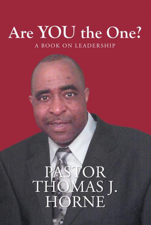 Cover of the book Are You the One? by Pastor Thomas J. Horne, iUniverse