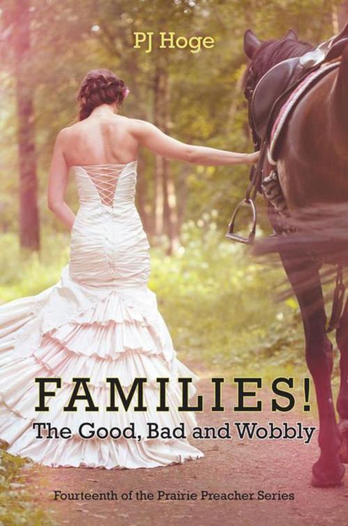 Cover of the book Families! the Good, Bad and Wobbly by PJ Hoge, iUniverse