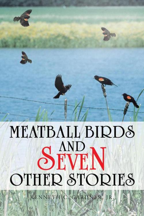 Cover of the book Meatball Birds and Seven Other Stories by Kenneth C. Gardner Jr., iUniverse