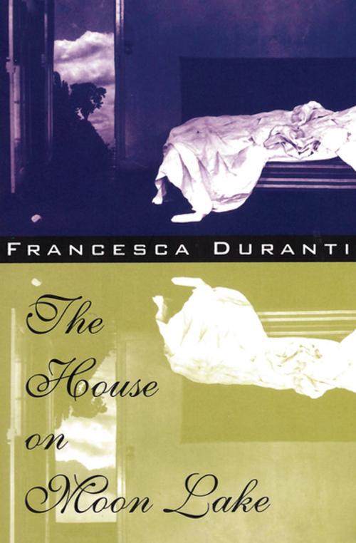 Cover of the book The House on Moon Lake by Francesca Duranti, Delphinium Books