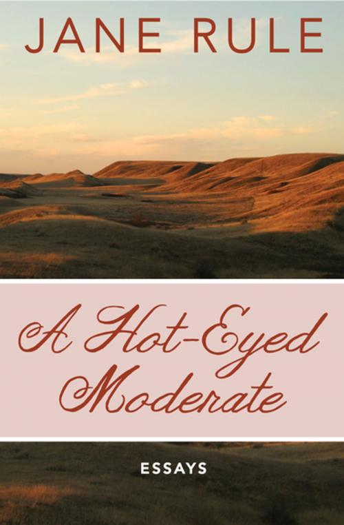 Cover of the book A Hot-Eyed Moderate by Jane Rule, Open Road Media