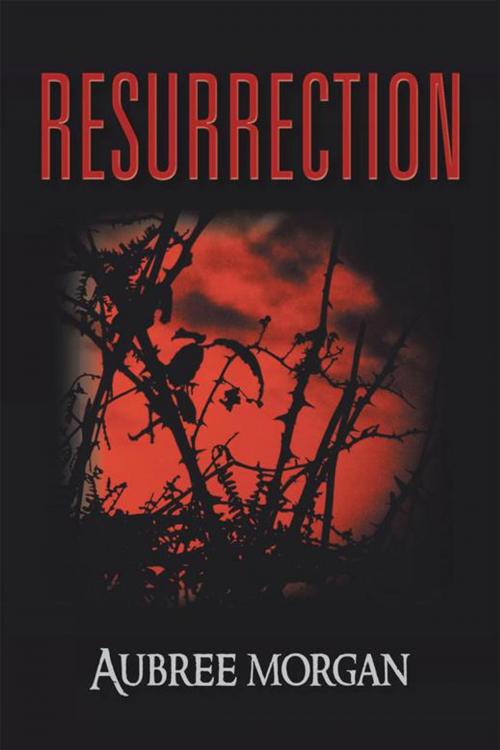 Cover of the book Resurrection by Aubree Morgan, AuthorHouse